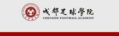 成都足球公司